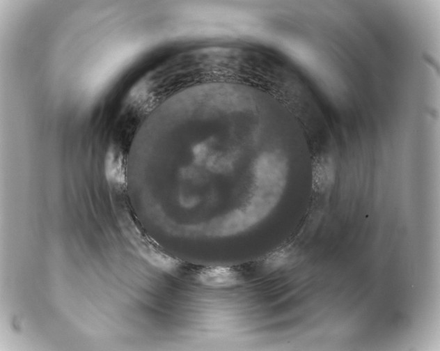 X0000102240431200808151758