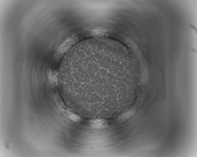 X0000102240432200808151758