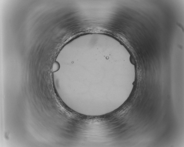 X0000102240433200808151757