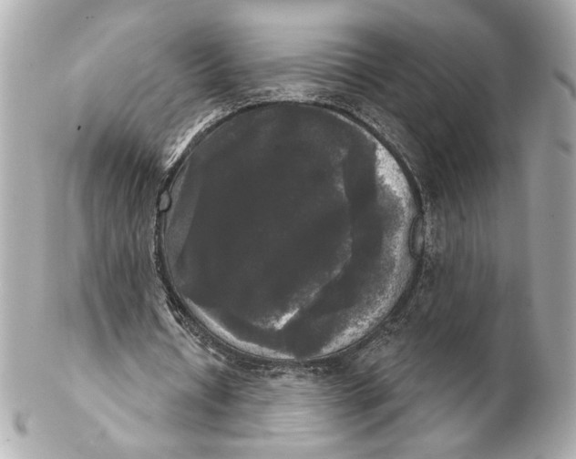 X0000102240434200808151757