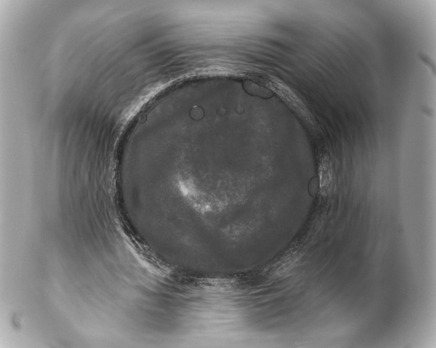 X0000102240436200808151757