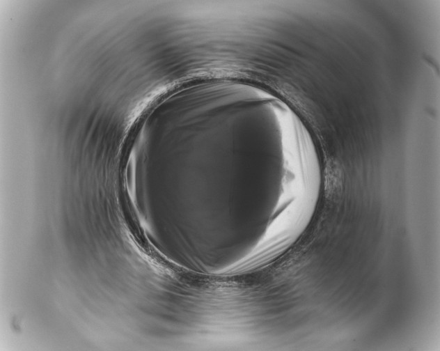 X0000102240438200808151757