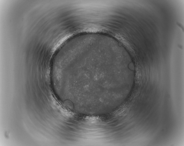 X0000102240440200808151757