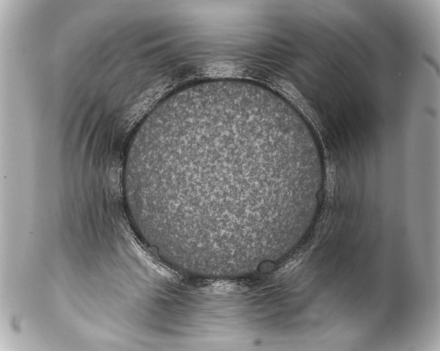 X0000102240441200808151757