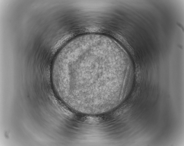 X0000102240442200808151757