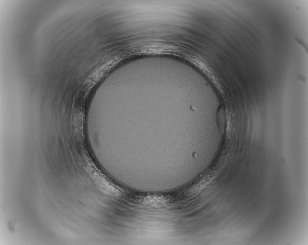 X0000102240445200808151757