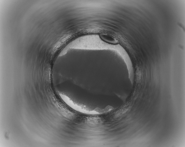 X0000102240446200808151757