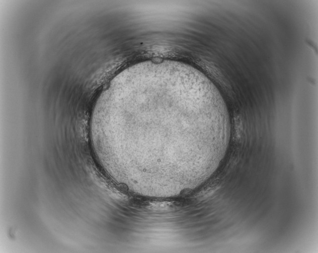 X0000102240450200808151757