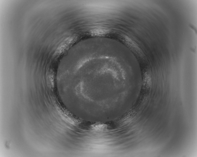 X0000102240452200808151757