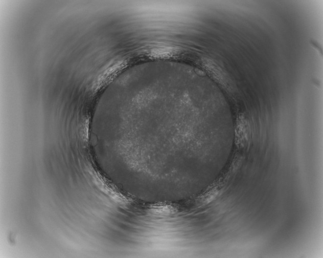 X0000102240454200808151757