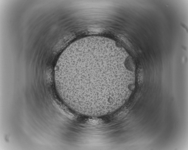 X0000102240455200808151757