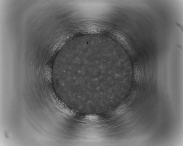 X0000102240457200808151757