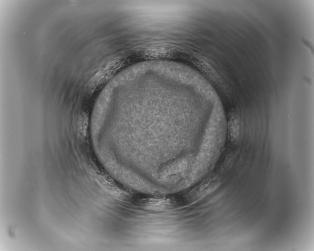 X0000102240458200808151757