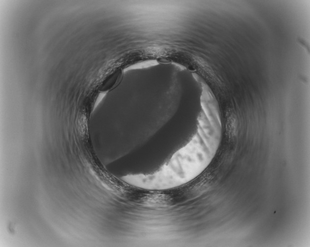 X0000102240459200808151757