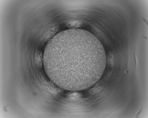 X0000102240460200808151757