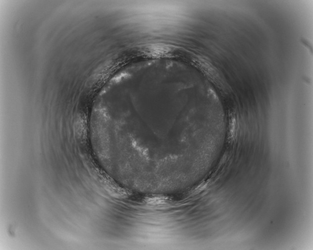 X0000102240461200808151757