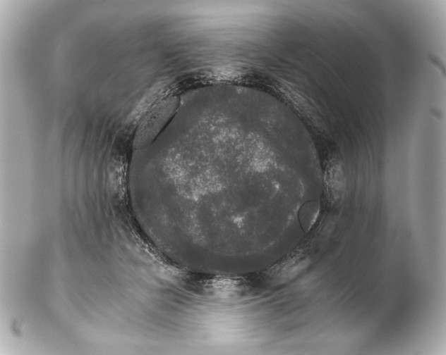 X0000102240462200808151757