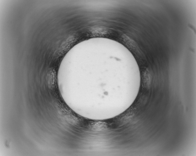 X0000102240463200808151757