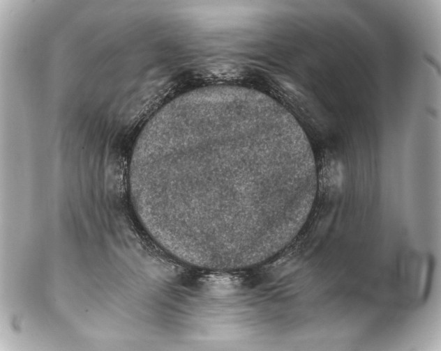 X0000102240464200808151757