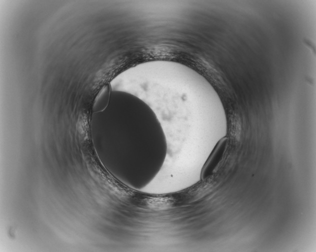 X0000102240465200808151757