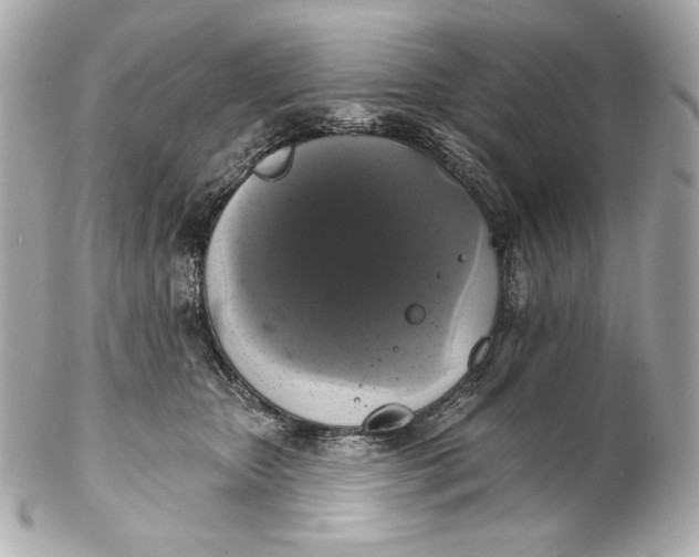 X0000102240467200808151757