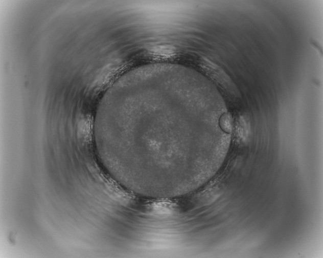 X0000102240468200808151757