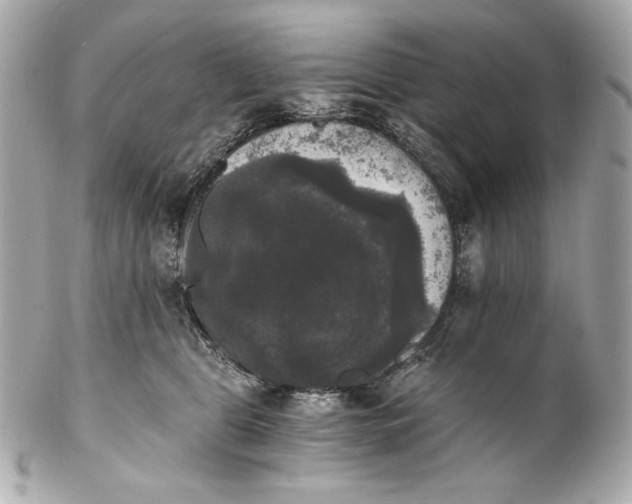 X0000102240469200808151757