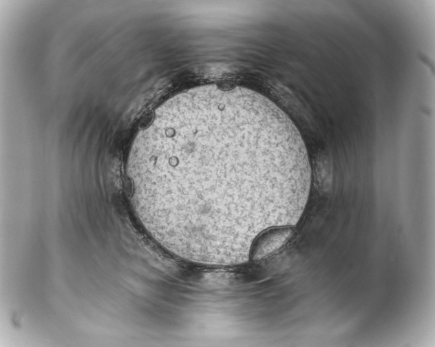 X0000102240470200808151757