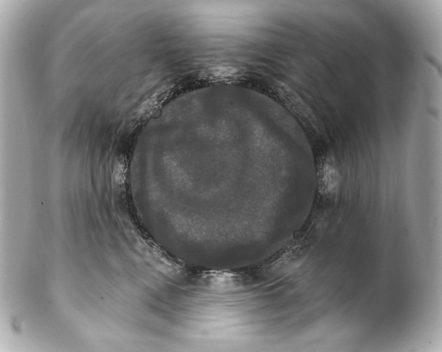 X0000102240472200808151758