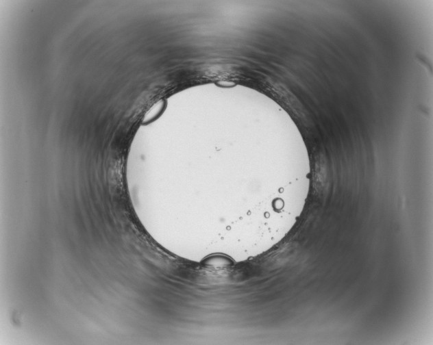 X0000102240473200808151758