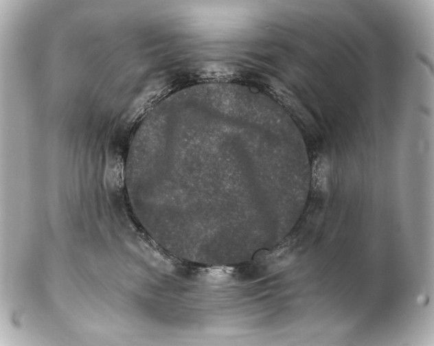 X0000102240474200808151758