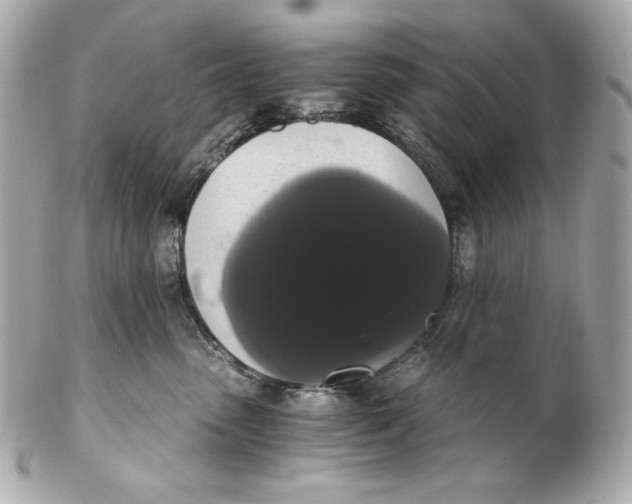 X0000102240475200808151758