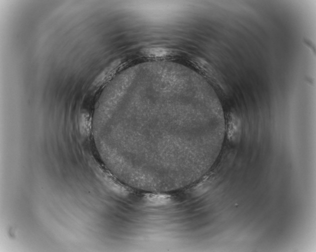 X0000102240476200808151758