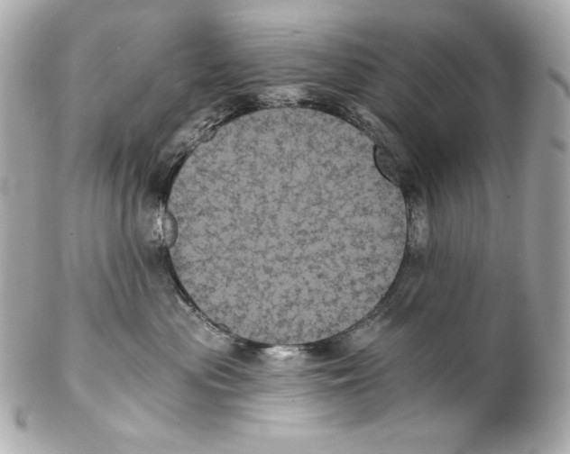 X0000102240477200808151758