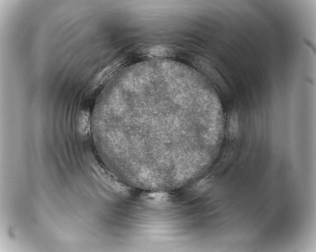 X0000102240478200808151758