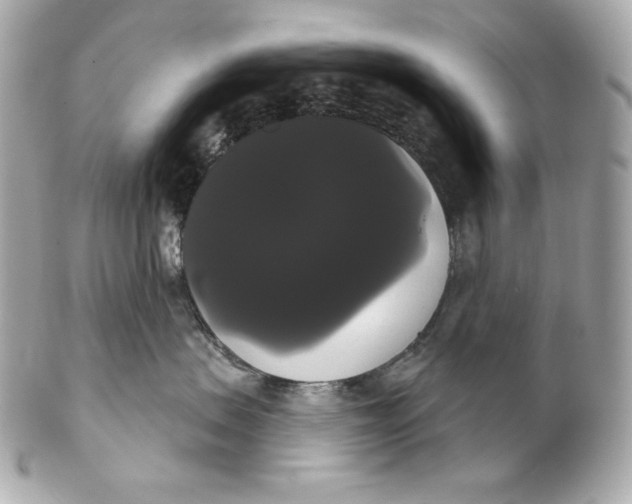 X0000102240479200808151758