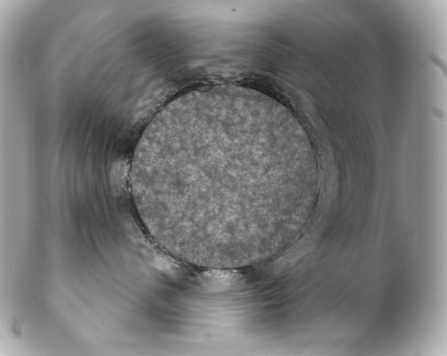 X0000102240480200808151758