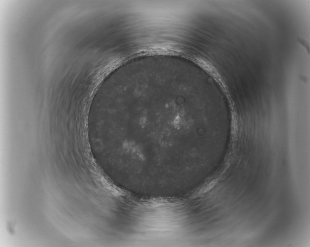 X0000102240481200808151757