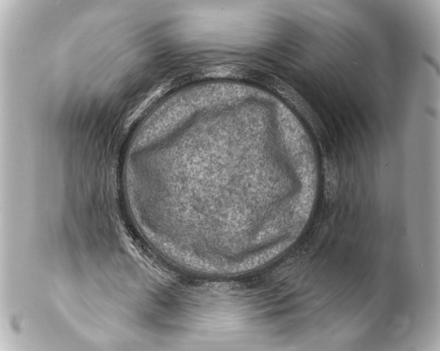 X0000102240482200808151757