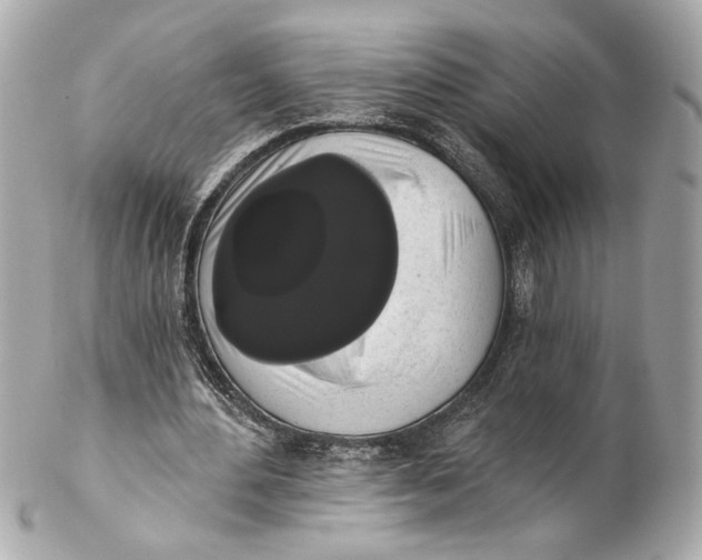 X0000102240484200808151757