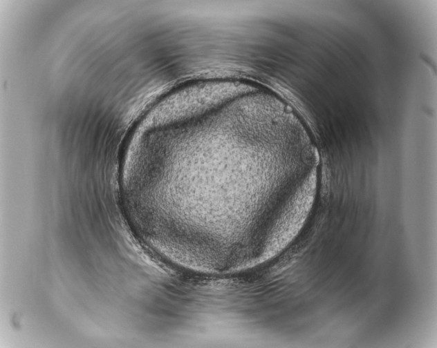 X0000102240485200808151757