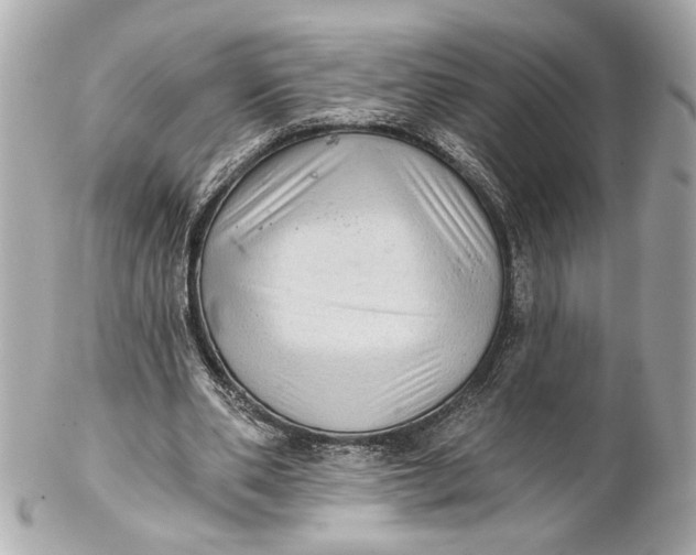 X0000102240486200808151757