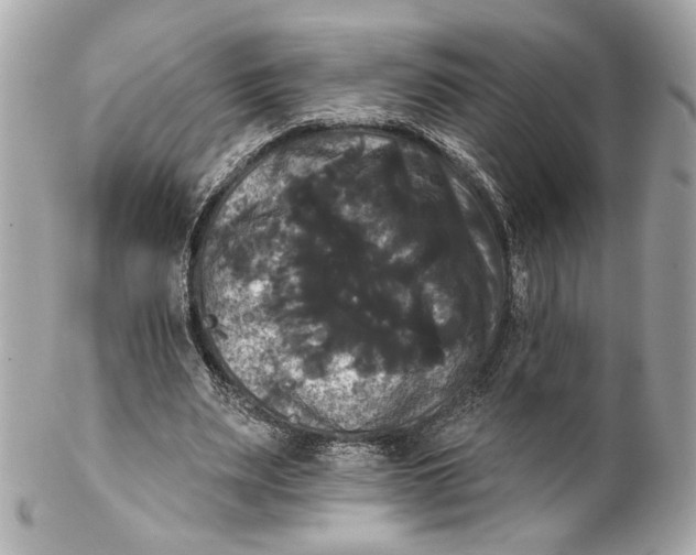 X0000102240487200808151757