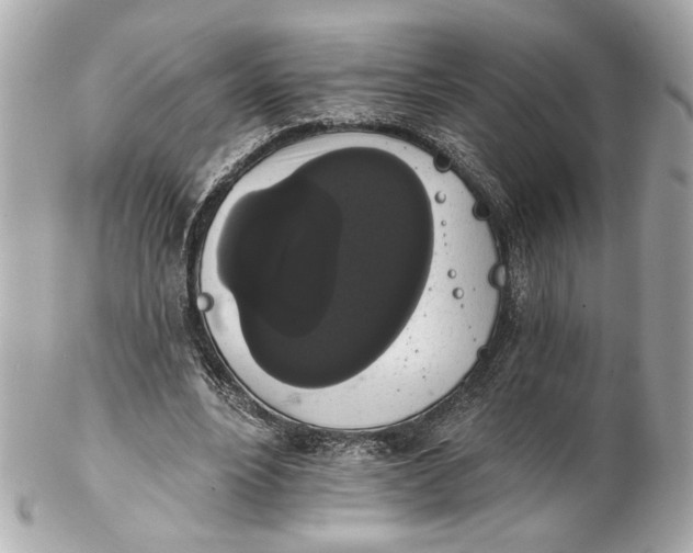 X0000102240488200808151757