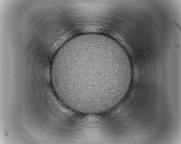 X0000102240489200808151757