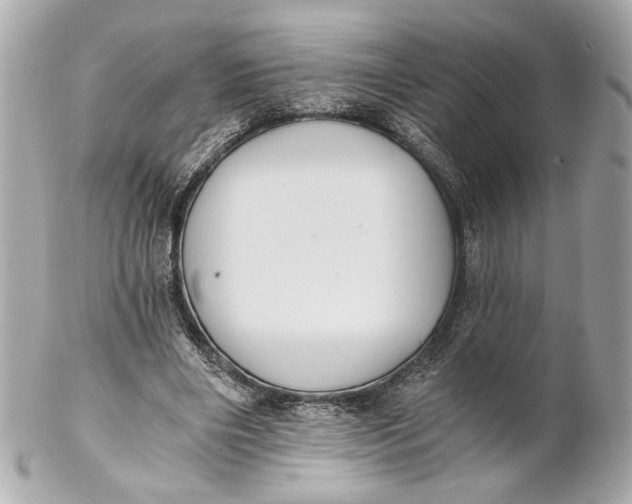 X0000102240490200808151757