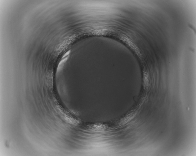 X0000102240493200808151757