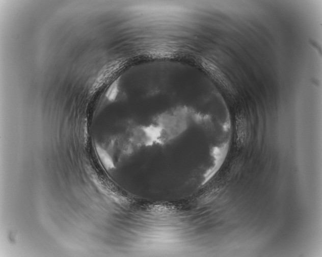 X0000102240494200808151757