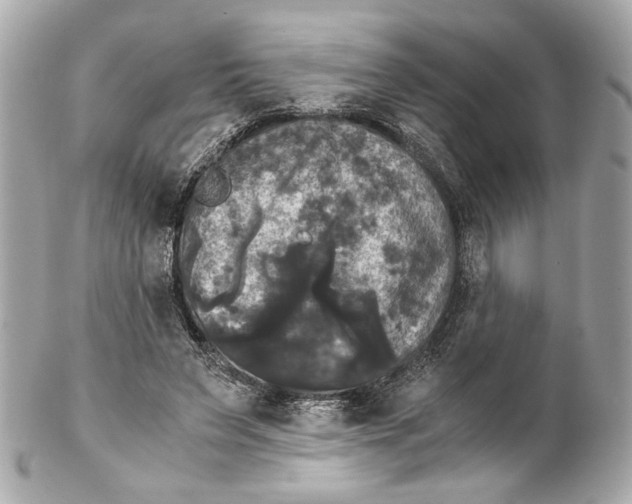 X0000102240495200808151757