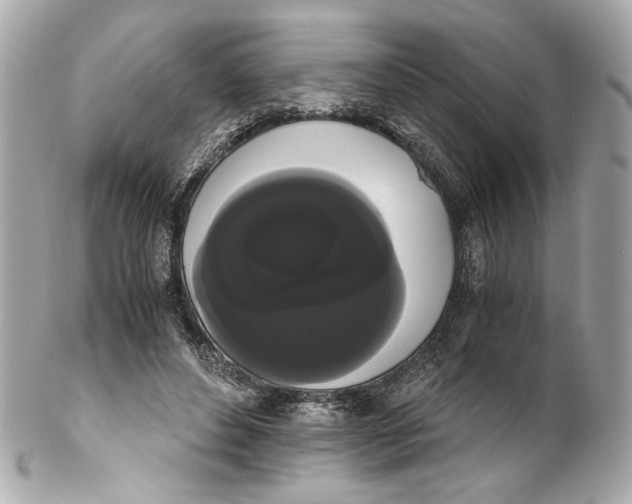 X0000102240496200808151757